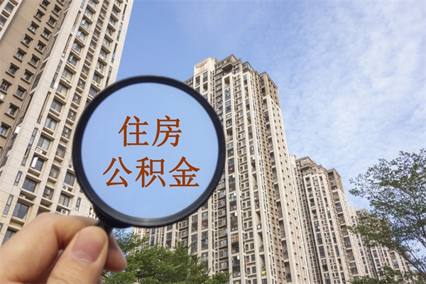 德清怎么取住房住房公积金（取住房公积金方法）